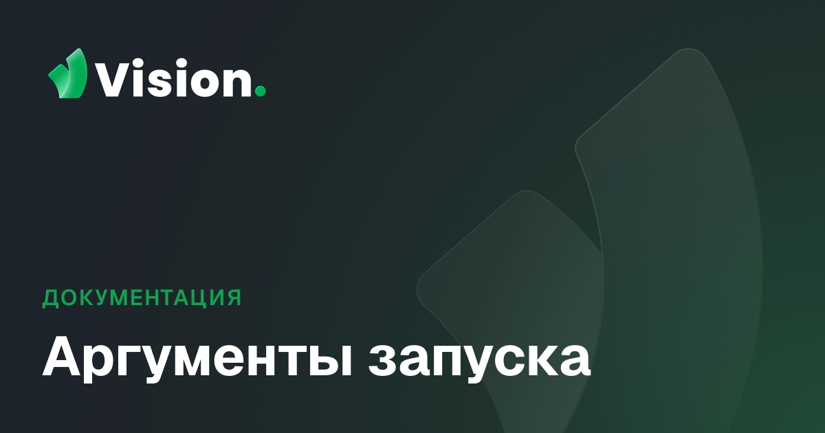 Vision Docs – Аргументы запуска